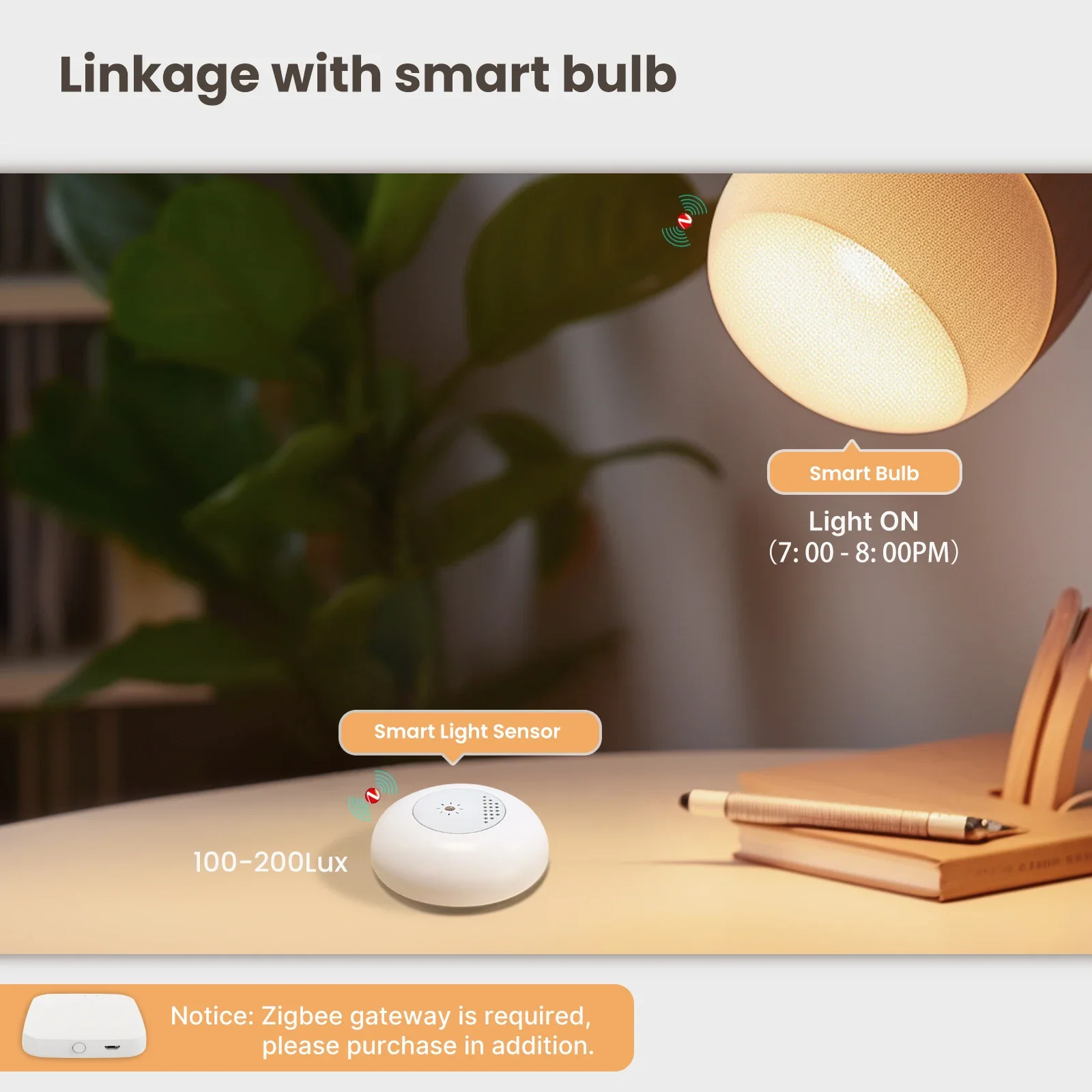 MOES Tuya Zigbee Sensor lampu  - Home Automation Ideas ulasan dan harga